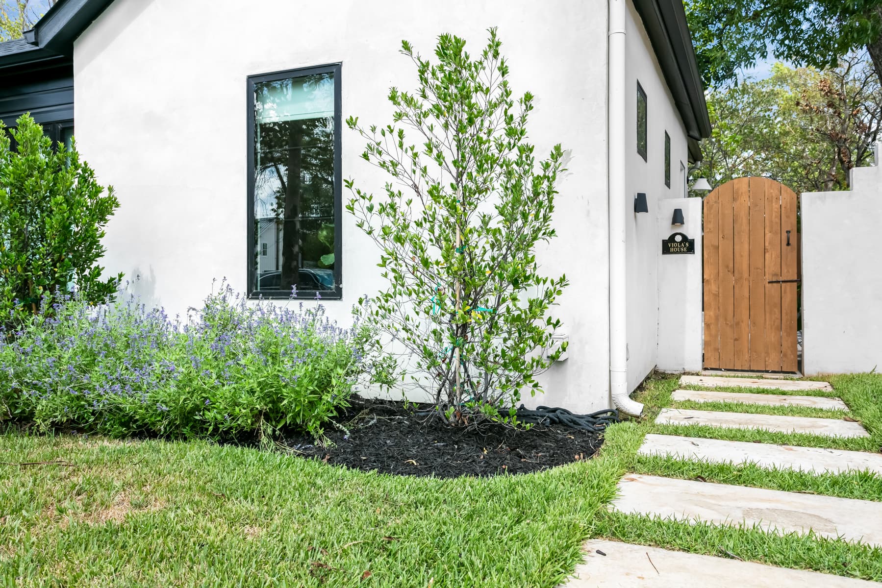 Viola's Home - Image 16