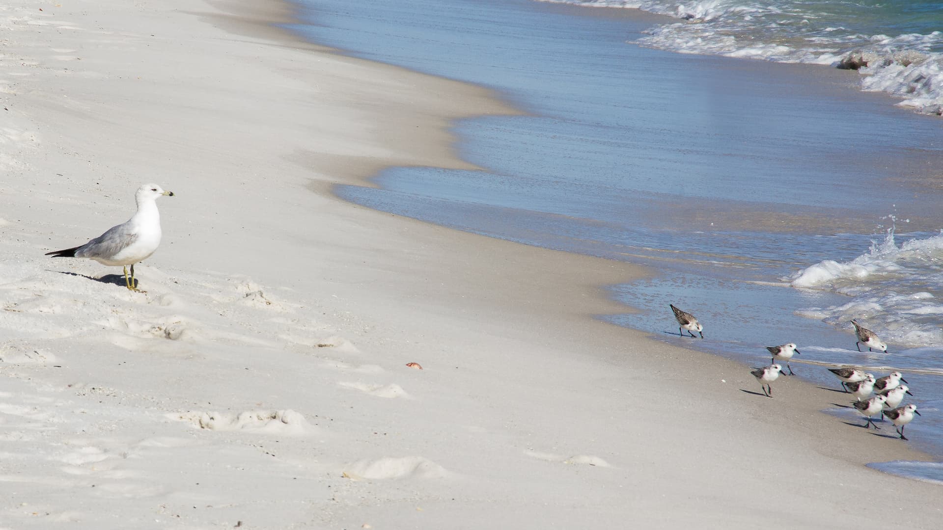 Vitamin Sea Home - Image 46