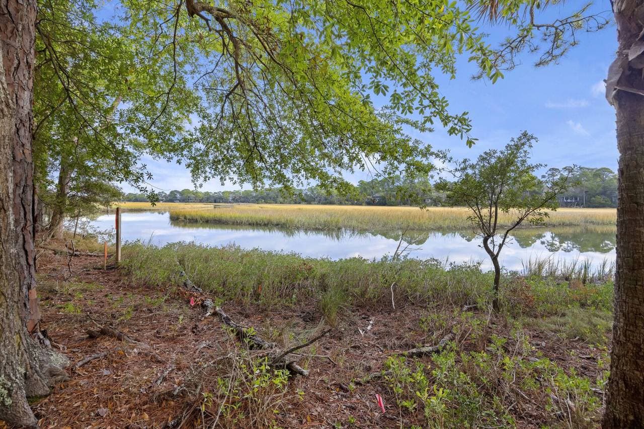 Blue Heron Pond - Image 58