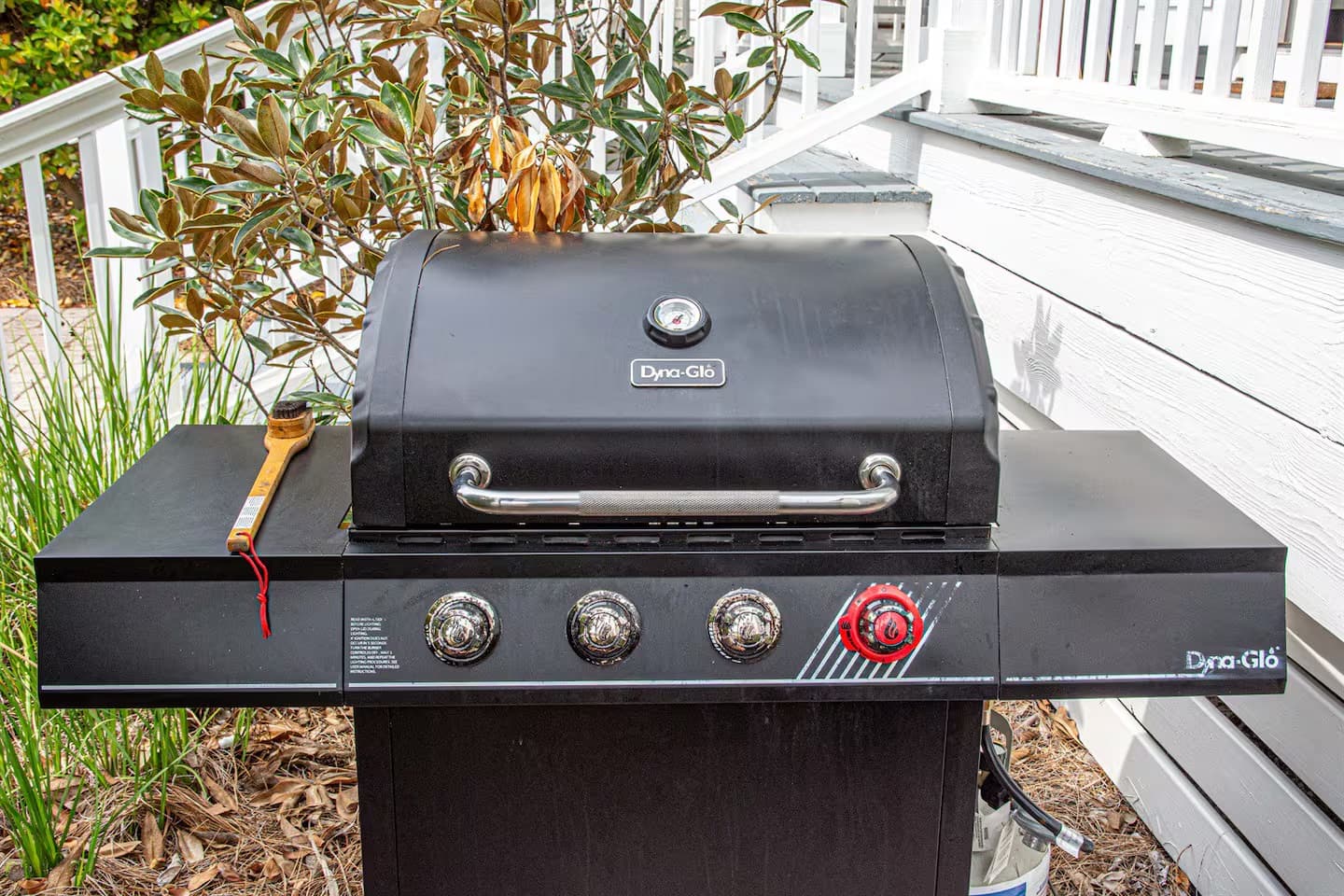 Micaseata - Image 45