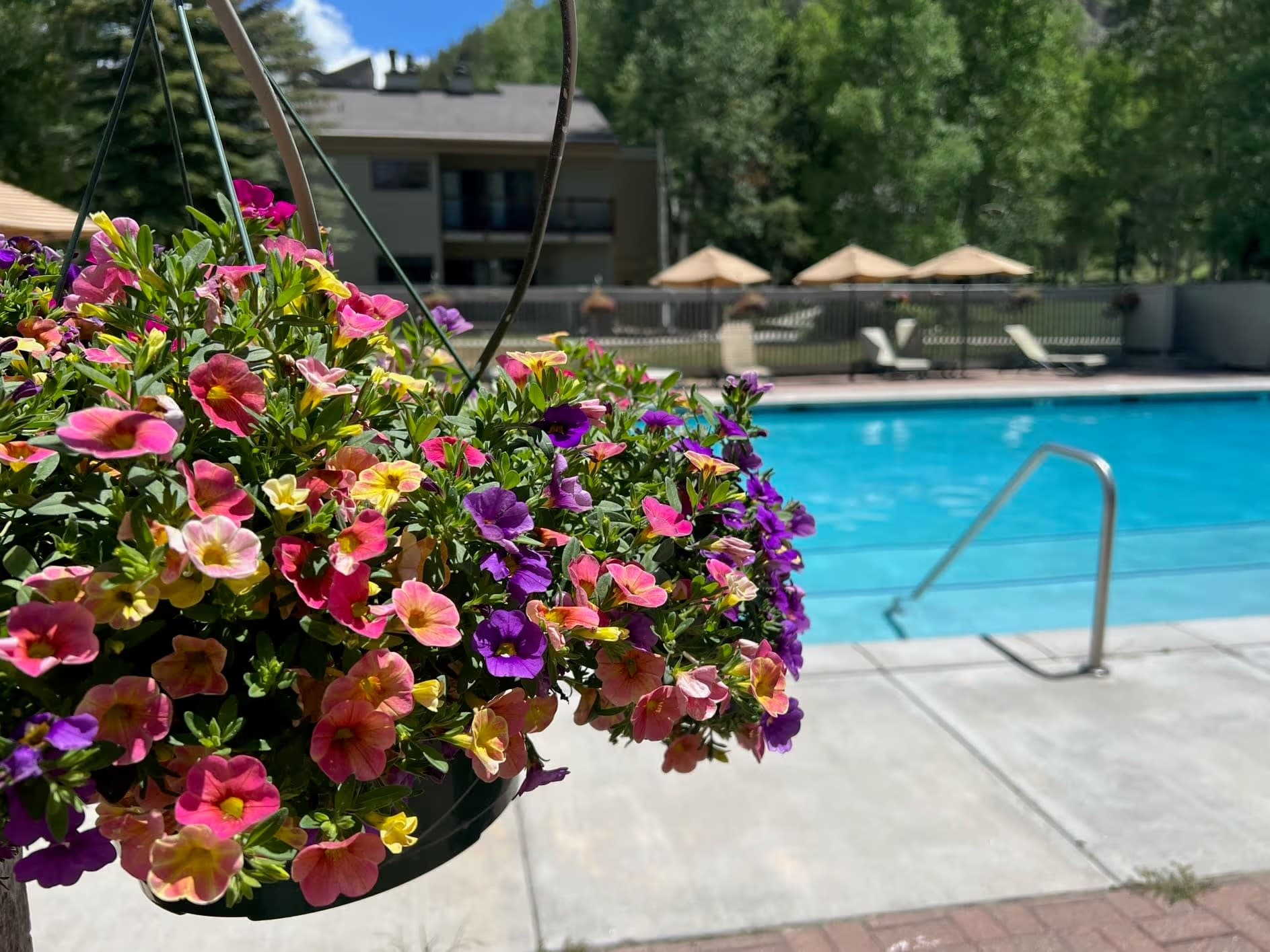 Gulchside Condo - Image 24