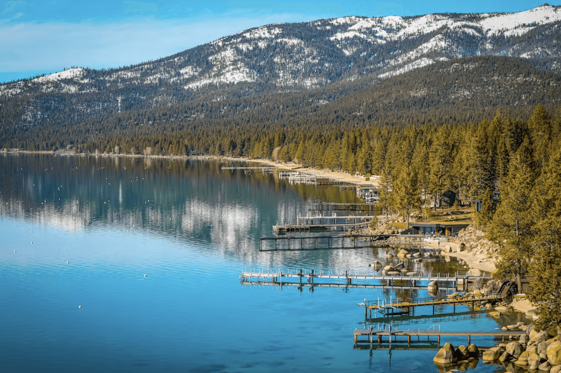 Among the Trees Home - Image 34