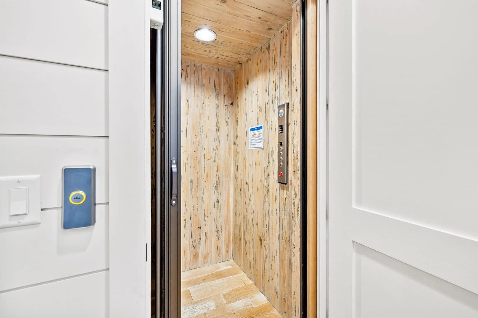 Evergreen Dream - Image 8