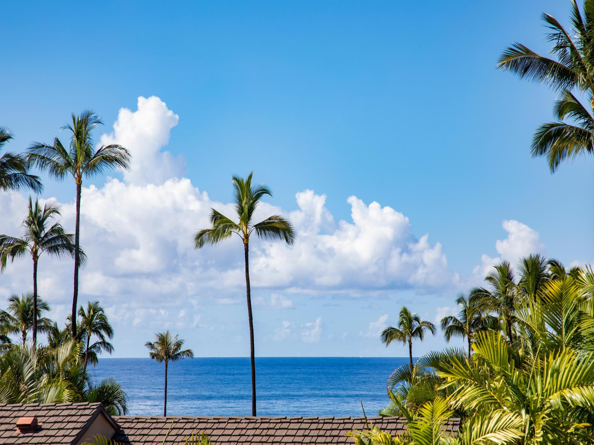 Wailea Elua Village #1509 - Image 17