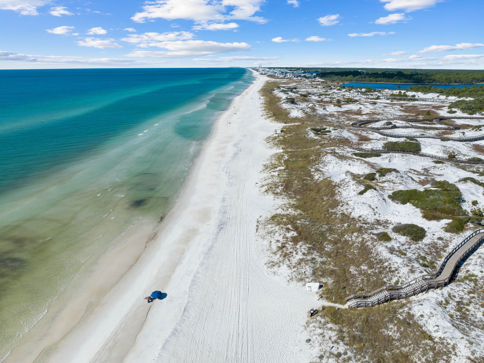South Founders #73 - Image 72