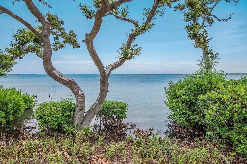 West Bay Cove #206 - Image 40