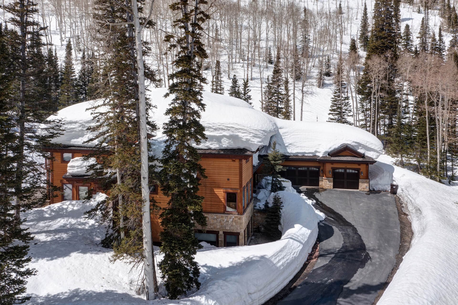 White Pine #129 - Image 6