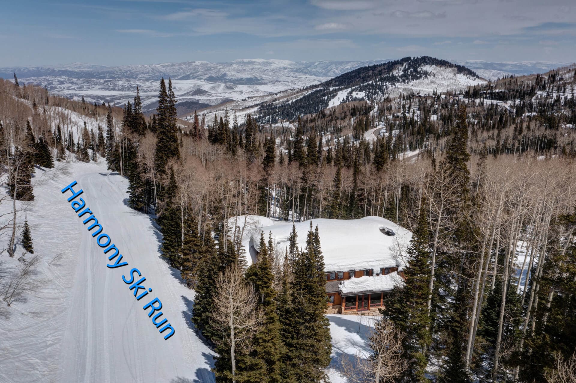 White Pine #129 - Image 73