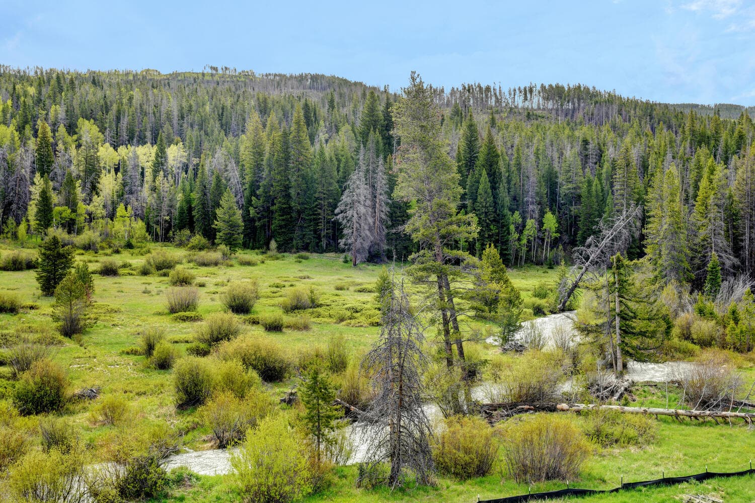 Wilds Roof Top Villa #86 - Image 6