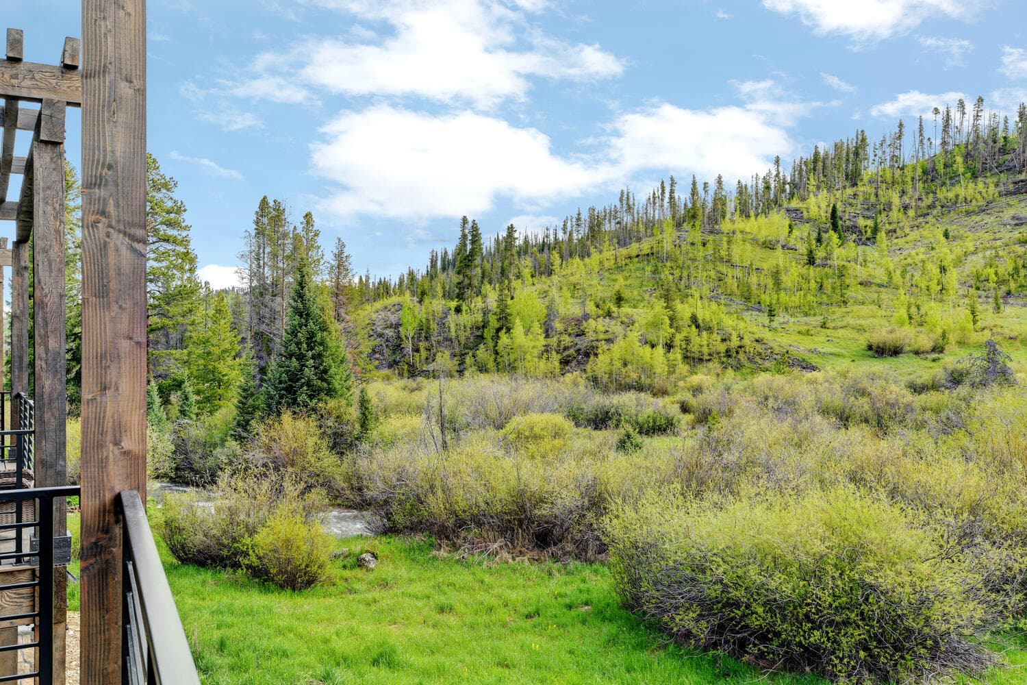 Wilds Roof Top Villa #86 - Image 49
