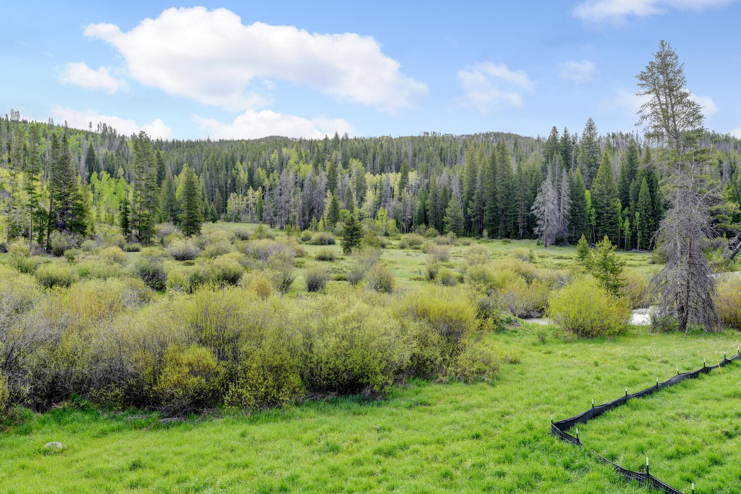 Wilds Roof Top Villa #86 - Image 51