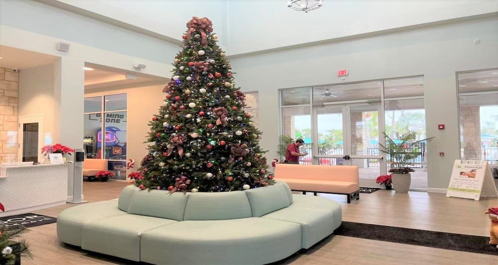 Prestige Palm - Image 26