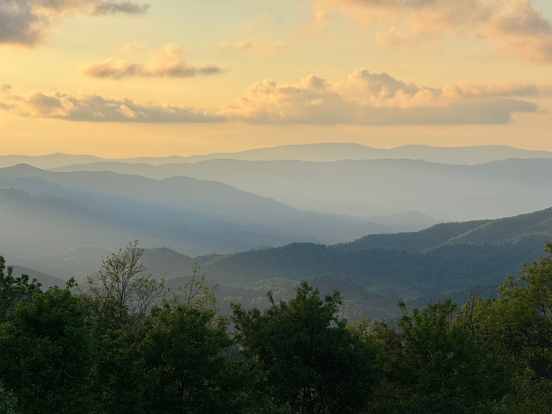 Wine Down - Image 46