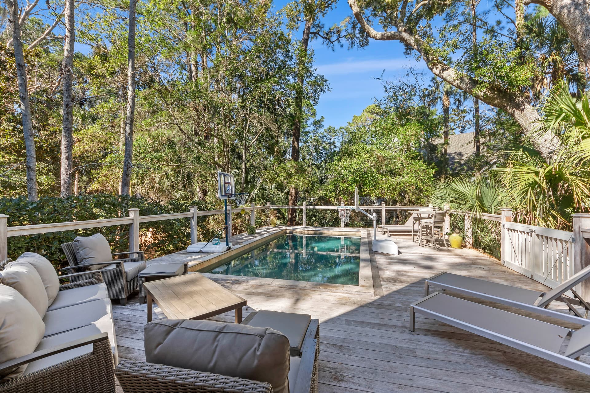 Wax Myrtle - Image 2