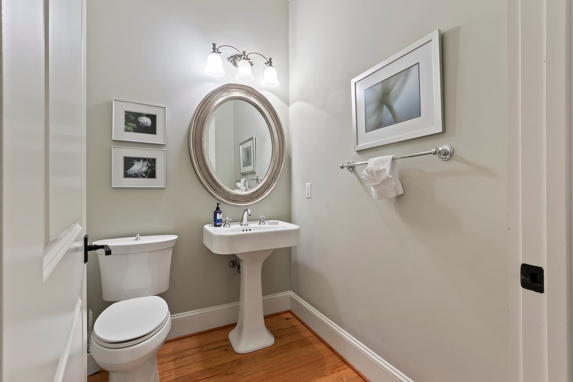 Wax Myrtle - Image 21