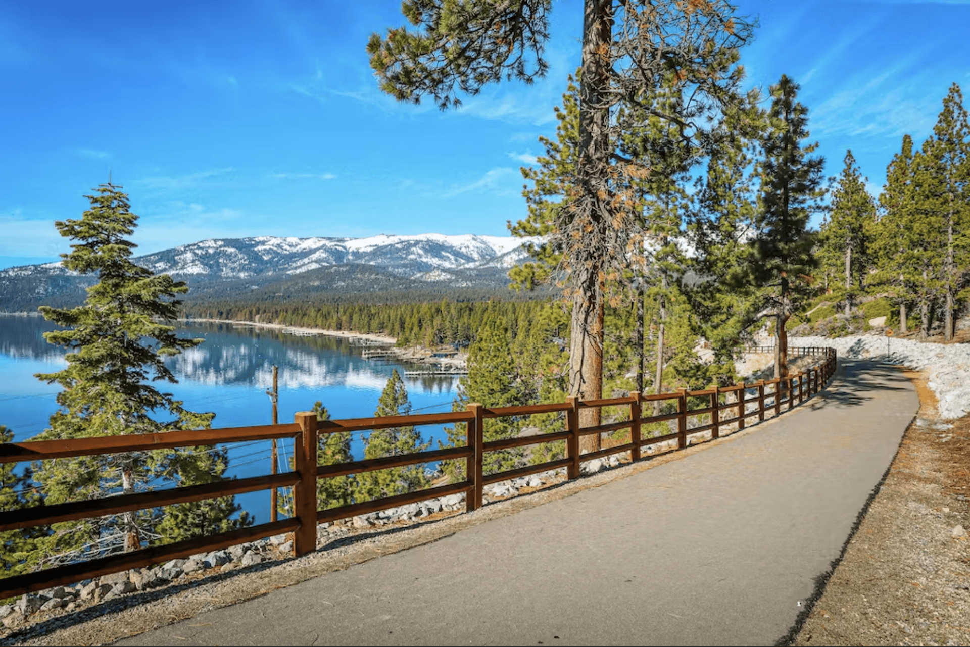 Among the Trees Home - Image 27