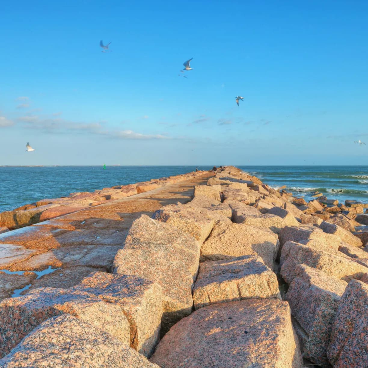 Always Sunny Home - Image 79