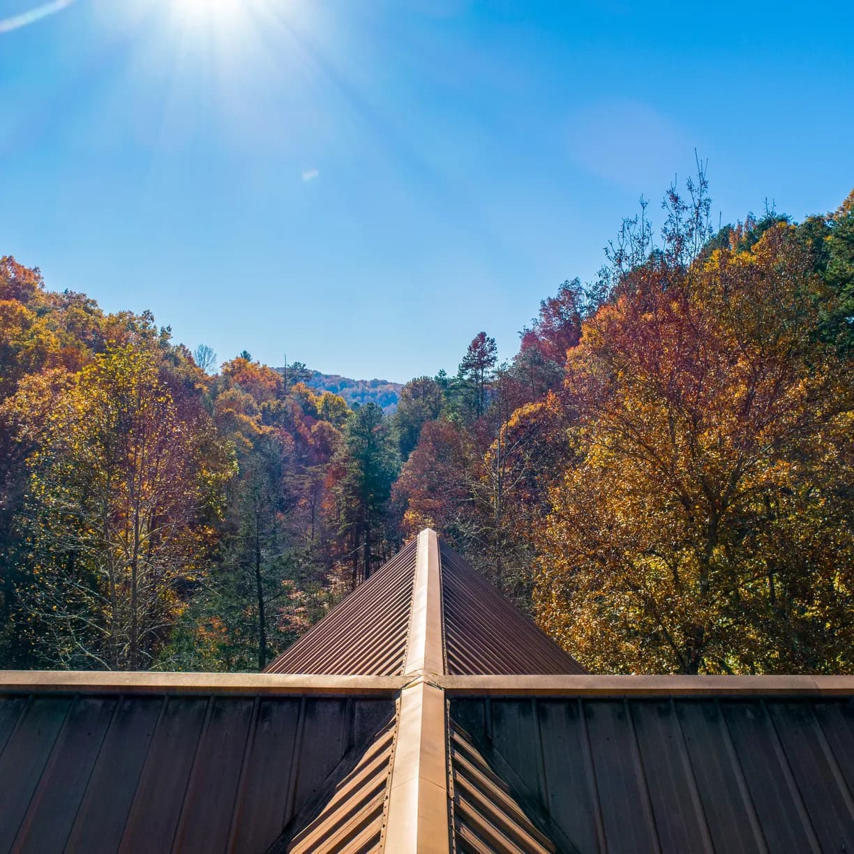 Hazel Haven - Image 33