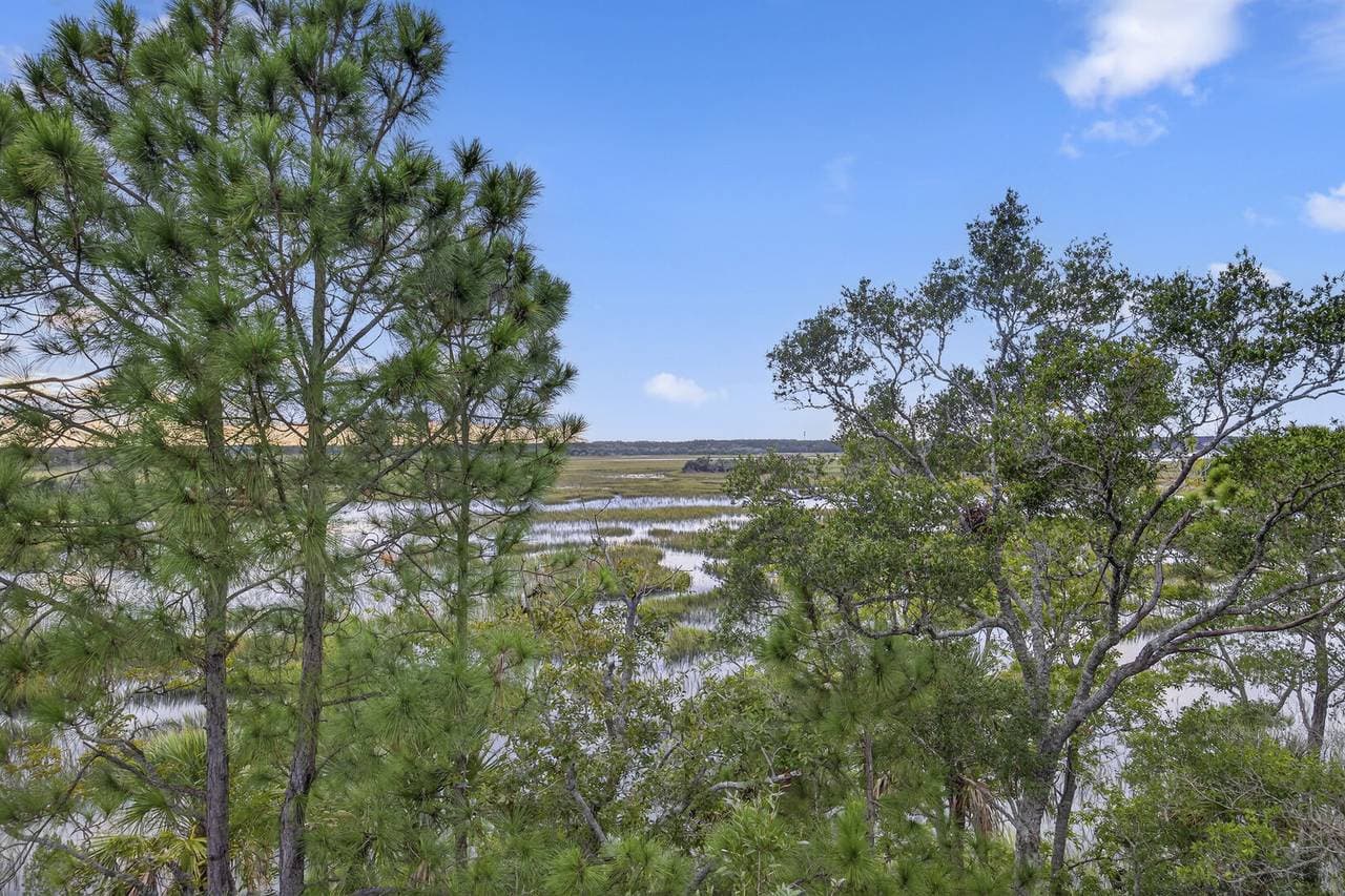 Marsh Hawk - Image 57