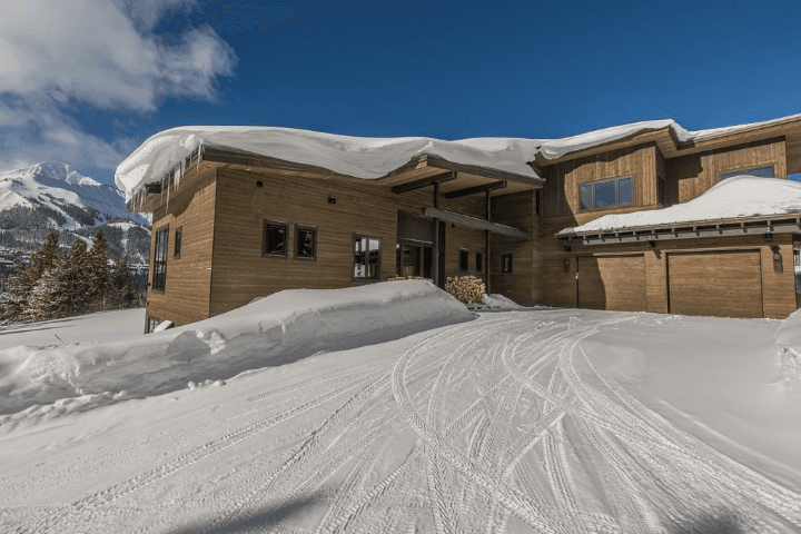 Swift Bear #23 - Image 48