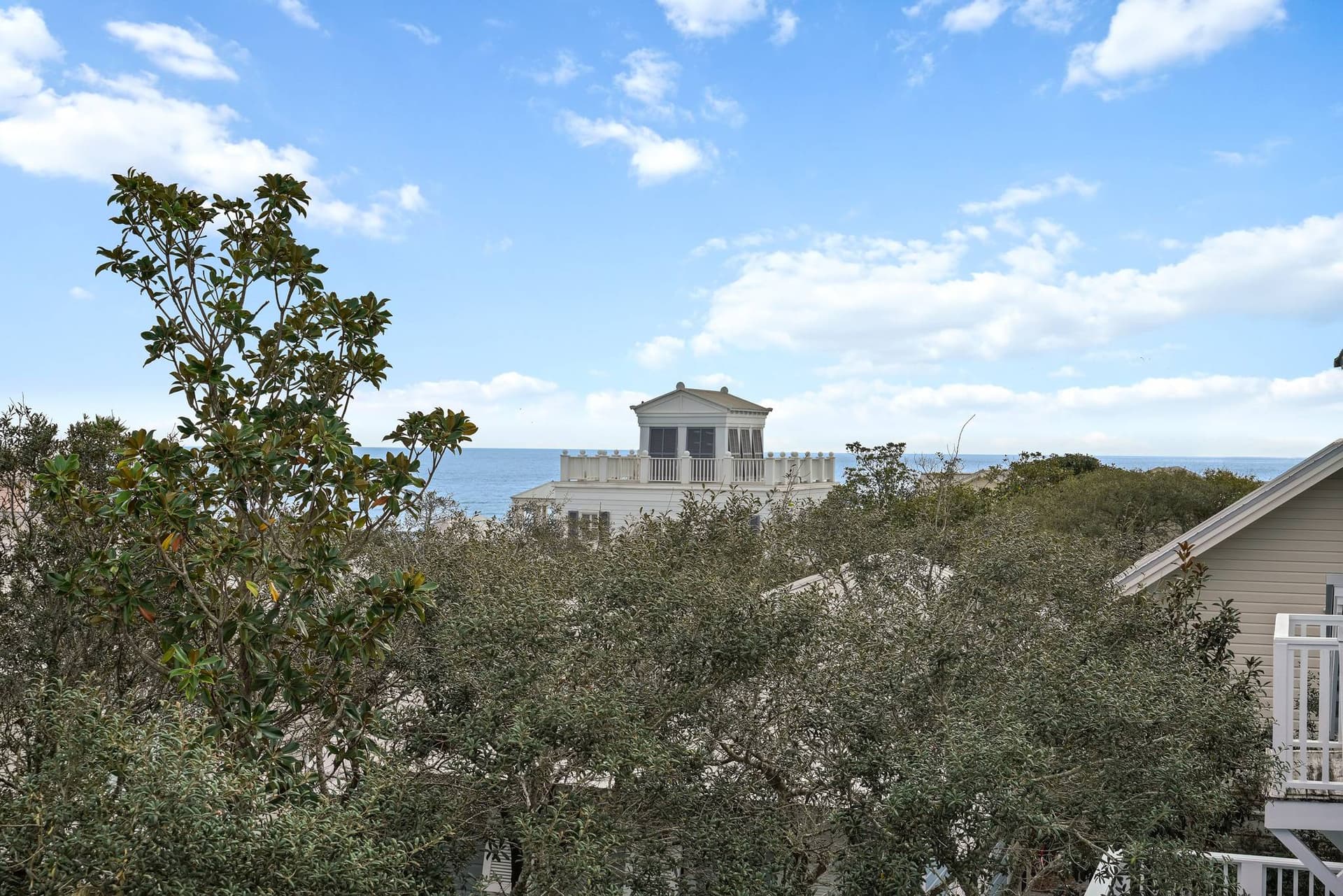 Salty Dogs House - Image 37