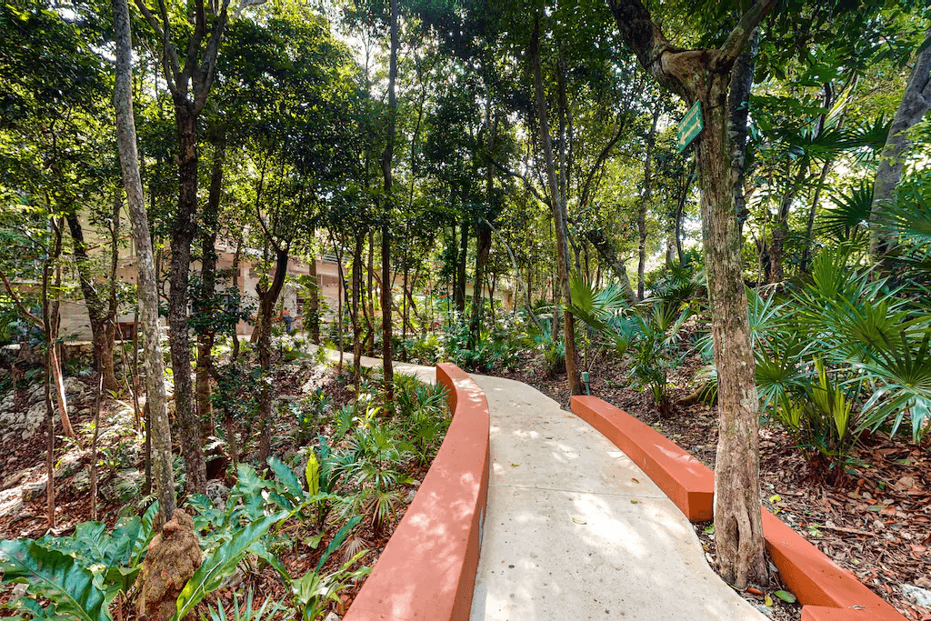 Blissful Haven - Image 53