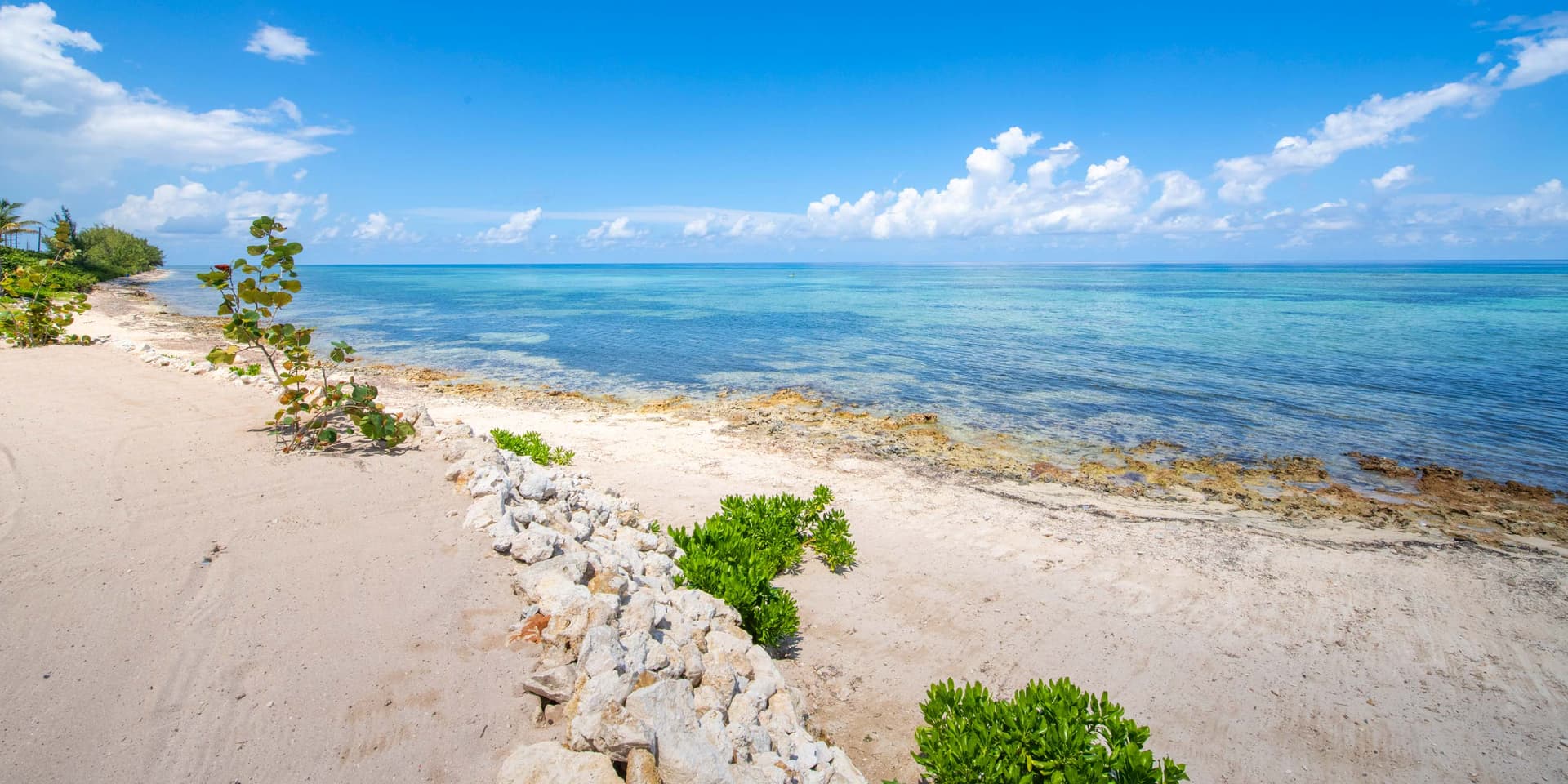 Willow Beach - Image 33