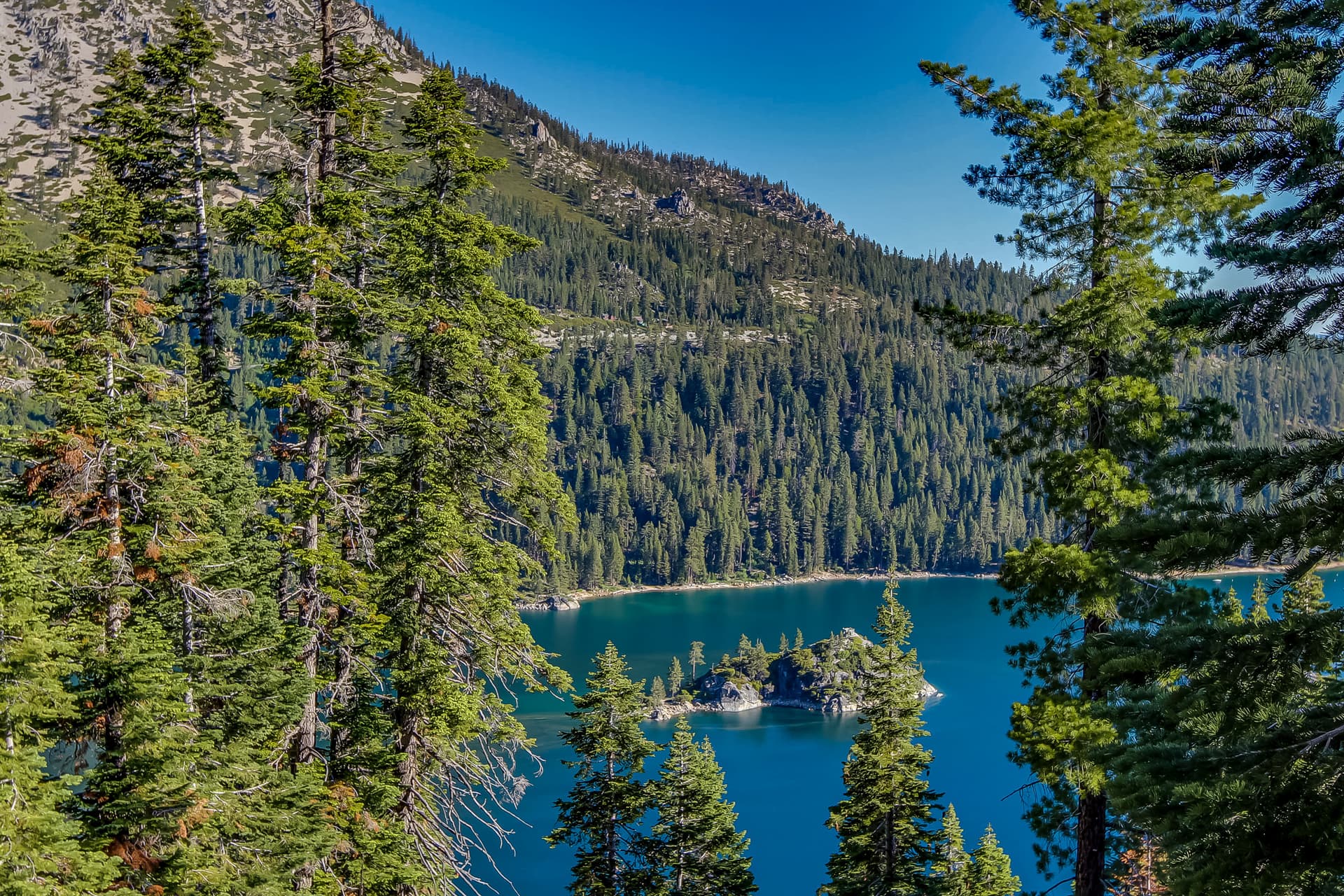 Susquehana Luxury House - Image 39