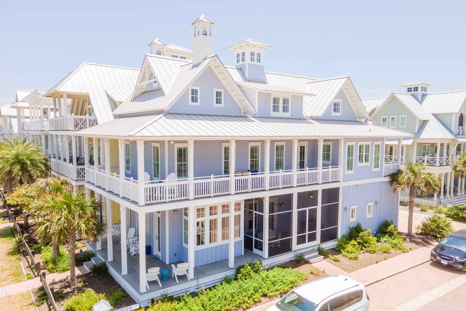 Blue Crab - Image 55