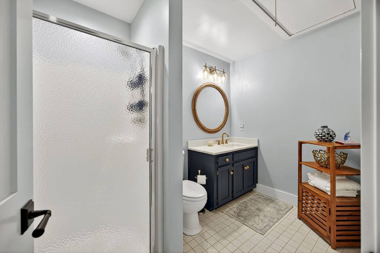 Marsh Hawk - Image 30