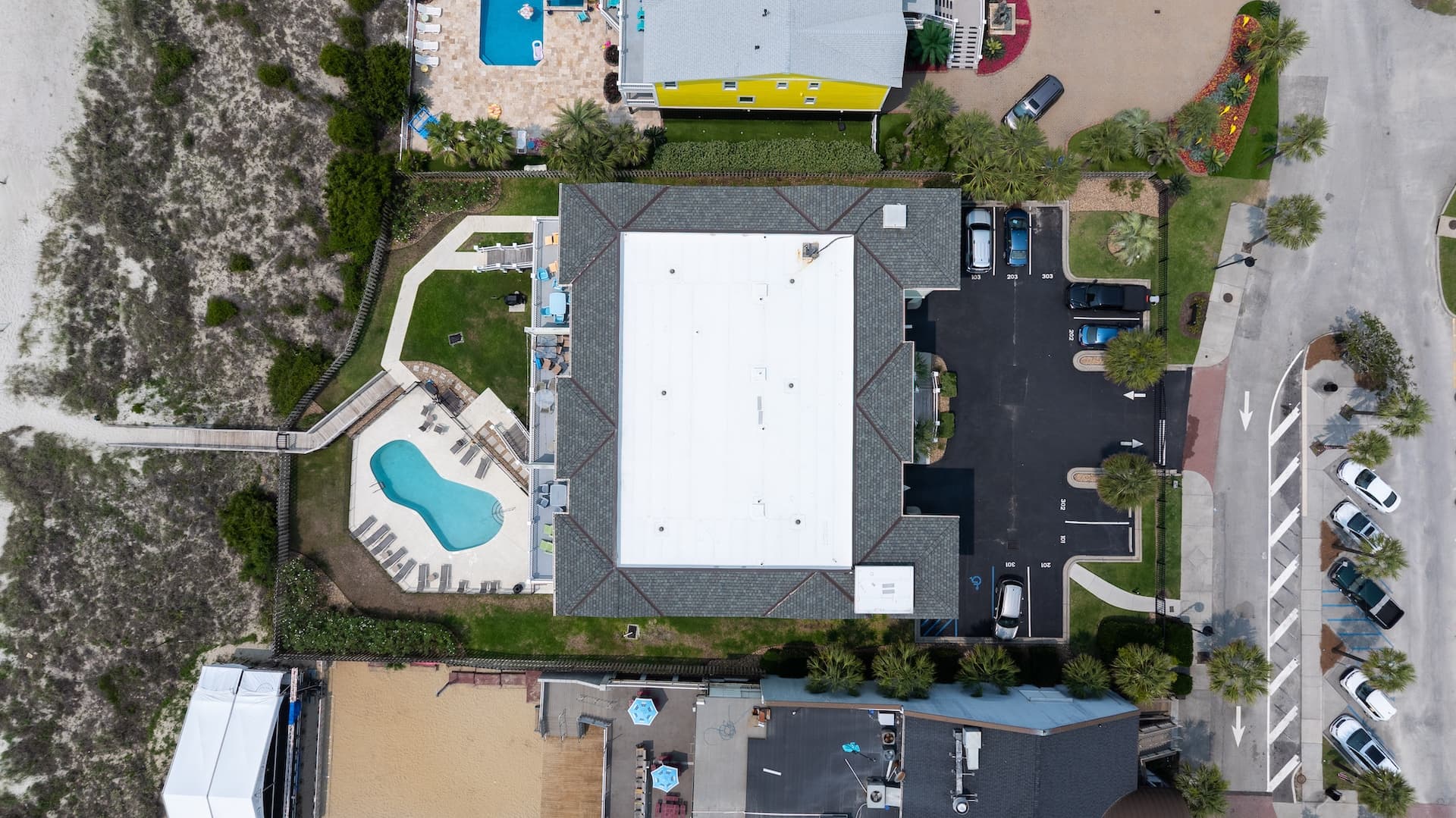 Palms Postcard - Image 47