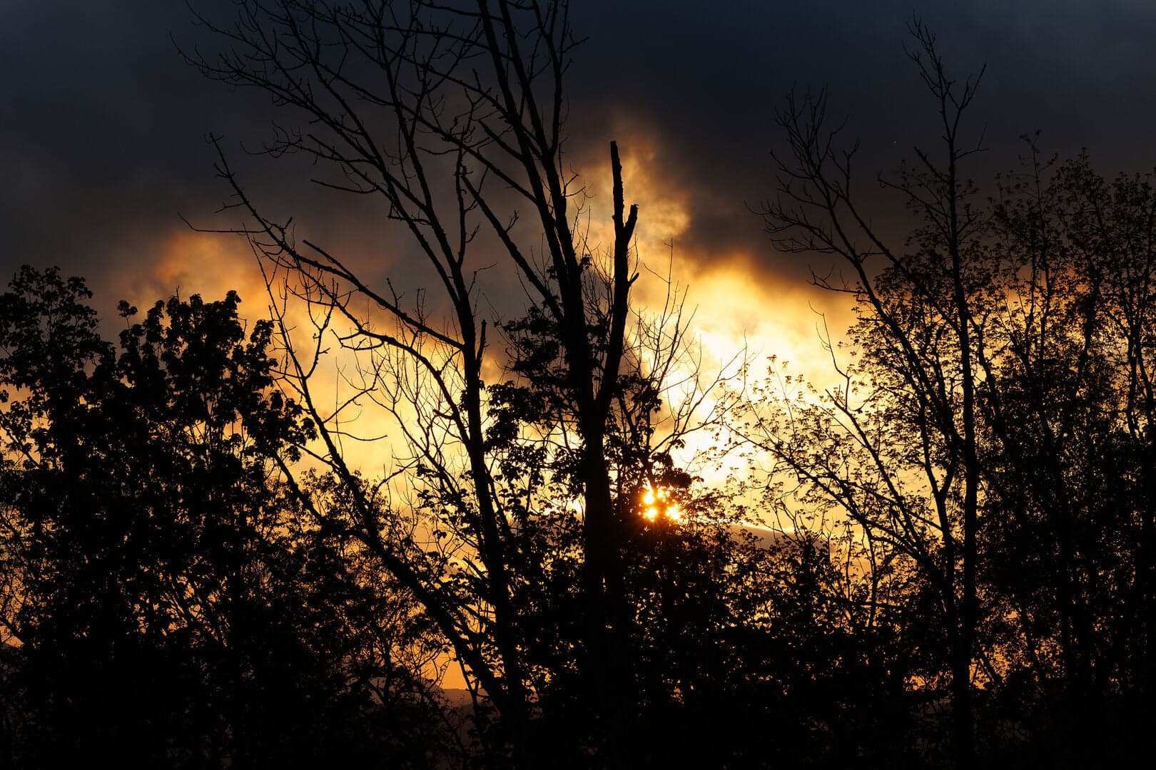 Bear Cave - Image 64